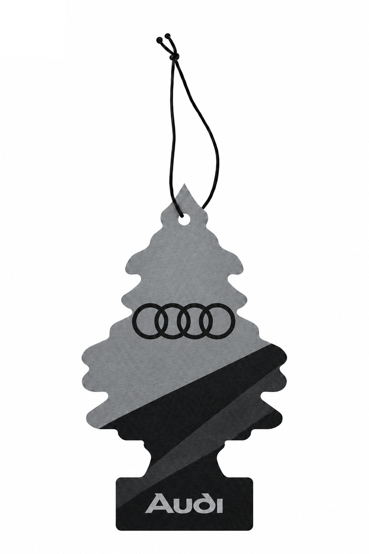 Sent-bon Audi — Gris architectural